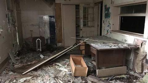 port Robinson - York Ennis Ste - Crane-Reclaimed-by-Nature9.jpg