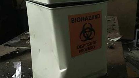 port Robinson - York Ennis Ste - Crane-Reclaimed-by-Nature4.jpg