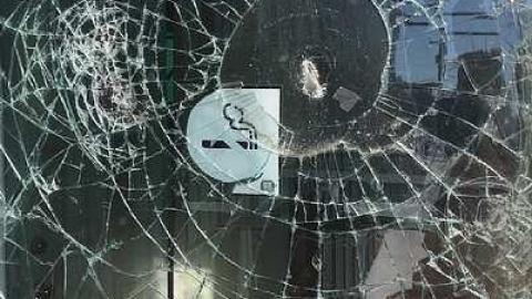 port Robinson - York Ennis Ste - Crane-Reclaimed-by-Nature11.jpg