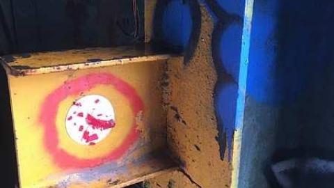 port Robinson - York Ennis Ste - Crane-Reclaimed-by-Nature12.jpg