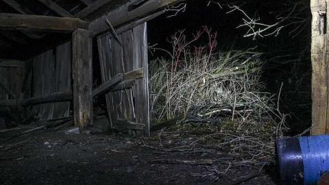 lonely silo - Old-silo-with-hut9.jpg