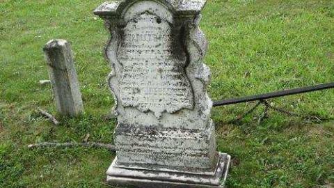 Gallery - The-Scotch-Settlement-181919.jpg