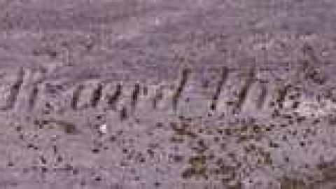 Christ Church Anglican Cemetery photo 3