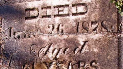 They Loved In Life - Christ-Church-Anglican-Cemetery13.jpg