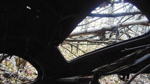 November 2016 - Forgotten-Truck-Graveyard5.jpg