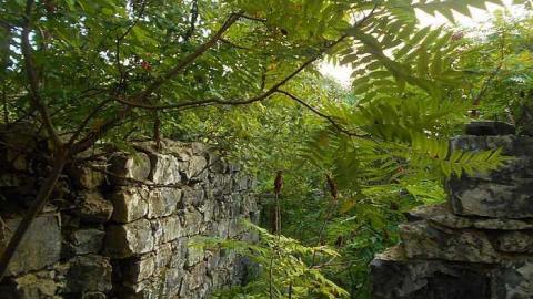 Photo from October 2016