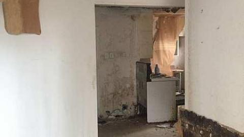 more to come, hurried out - IMG_2096.jpg