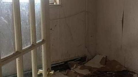 more to come, hurried out - IMG_2097.jpg