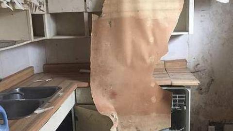 more to come, hurried out - IMG_2098.jpg