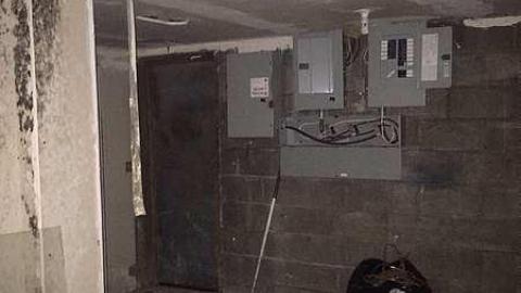 more to come, hurried out - IMG_2100.jpg