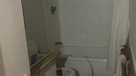 more to come, hurried out - IMG_2103.jpg