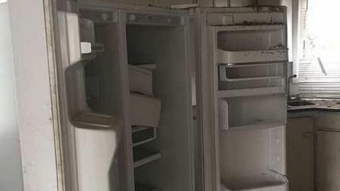 more to come, hurried out - IMG_2108.jpg