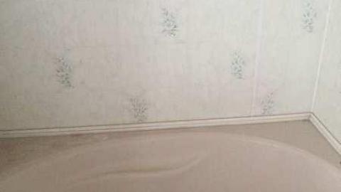 more to come, hurried out - IMG_2109.jpg