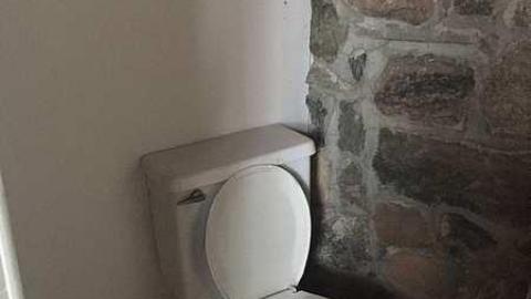 more to come, hurried out - IMG_2110.jpg