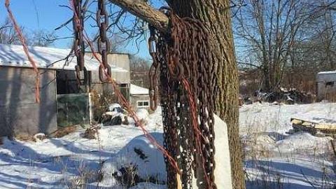 Lonnng driveway - Location-location17.jpg