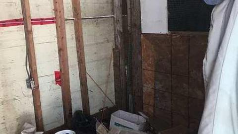 Lonnng driveway - Location-location5.jpg