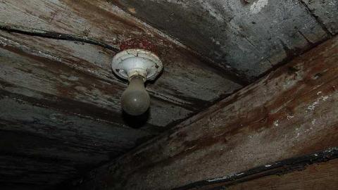 February 2017 - Farm-March-rd.-Kanata12.jpg