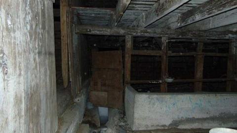 Photo from February 2017