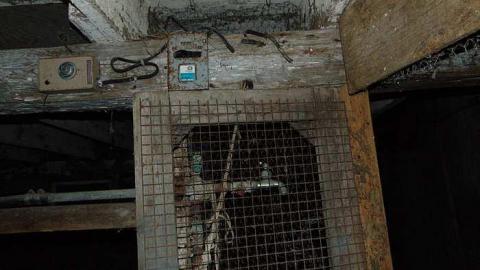 February 2017 - Farm-March-rd.-Kanata14.jpg