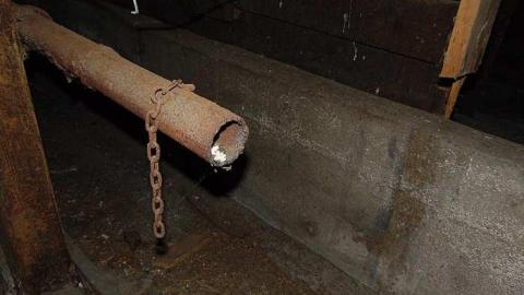 February 2017 - Farm-March-rd.-Kanata10.jpg