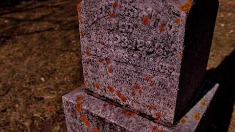 Morris Cemetery - Egbert-Pioneer-Cemetery23.jpg