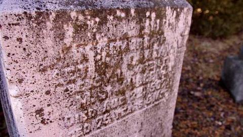 Morris Cemetery - Egbert-Pioneer-Cemetery11.jpg