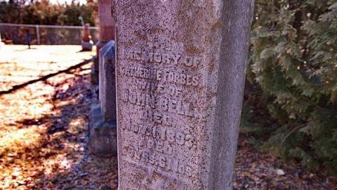 Morris Cemetery - Egbert-Pioneer-Cemetery17.jpg