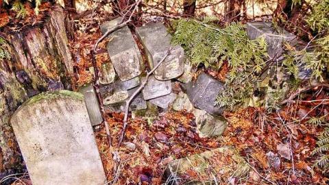 Morris Cemetery - Egbert-Pioneer-Cemetery26.jpg