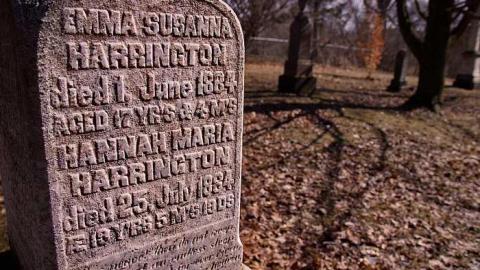 Morris Cemetery - Egbert-Pioneer-Cemetery29.jpg