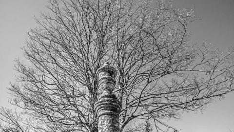 Morris Cemetery - Egbert-Pioneer-Cemetery32.jpg