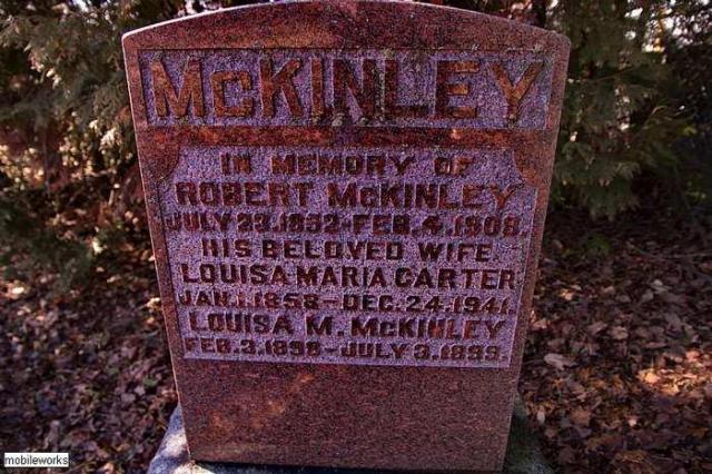 Egbert Pioneer Cemetery photo 3