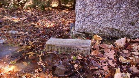 Morris Cemetery - Egbert-Pioneer-Cemetery35.jpg
