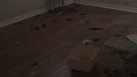 February 2018 - Feeling-Nippy...-2-for-153.jpg