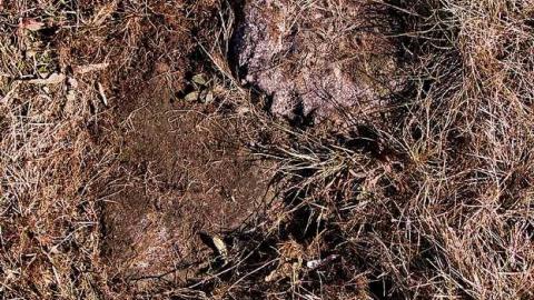 They Died In Full Triumph  - Burns-United-Cemetery37.jpg