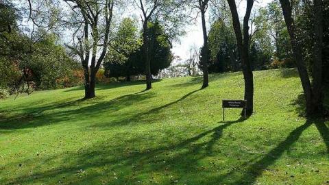 October 2017 - WhitePorter-Cemetery35.jpg