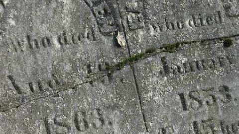 Photo from October 2017