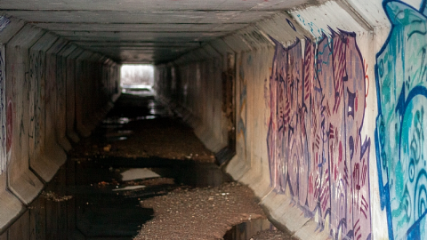 Photo from 2018-03-03