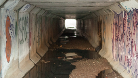 Photo from 2018-03-03