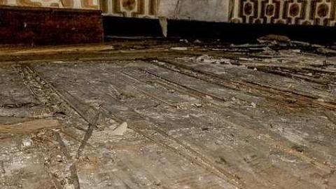 Photo from Beneath the Floorboards