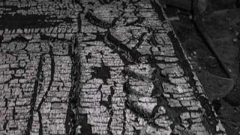 Beneath the Floorboards - IMG_0011.jpg