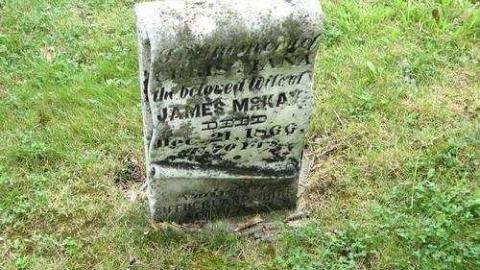 Gallery - The-Scotch-Settlement-181925.jpg