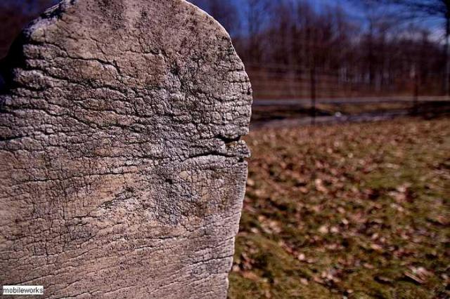Graham's Pioneer Cemetery photo 4