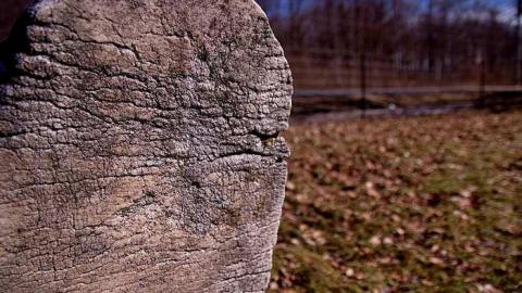 Graham's Pioneer Cemetery photo 4