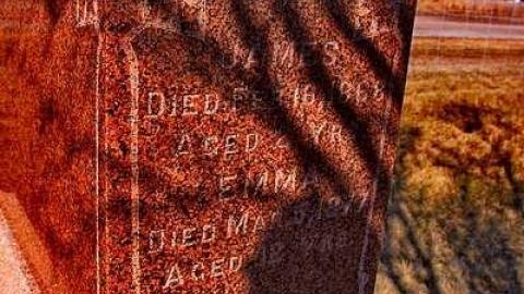 Trinity Pioneer Cemetery photo 3