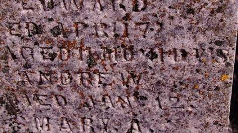 Eternal Farm View - Trinity-Pioneer-Cemetery24.jpg