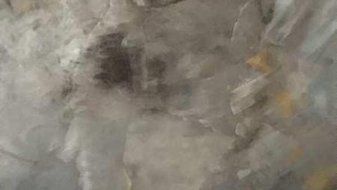 Welcome - IMG_1561.jpg