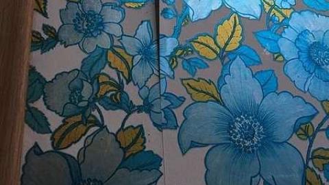 Welcome - IMG_1511.jpg