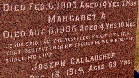 Should Have Had A Life SoBrief - Rosemont-Pioneer-Cemetery2.jpg