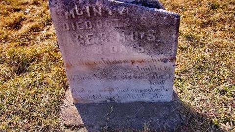 Should Have Had A Life SoBrief - Rosemont-Pioneer-Cemetery20.jpg