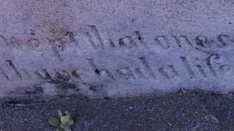 Should Have Had A Life SoBrief - Rosemont-Pioneer-Cemetery3.jpg